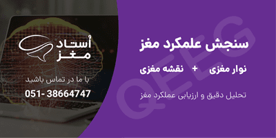 خدمات نقشه مغزی رنگی | استاد معز